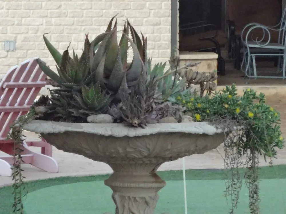 Top-rated yard maintenance for beautiful yards in Levelland, TX by Wes' Landscape Care and Design