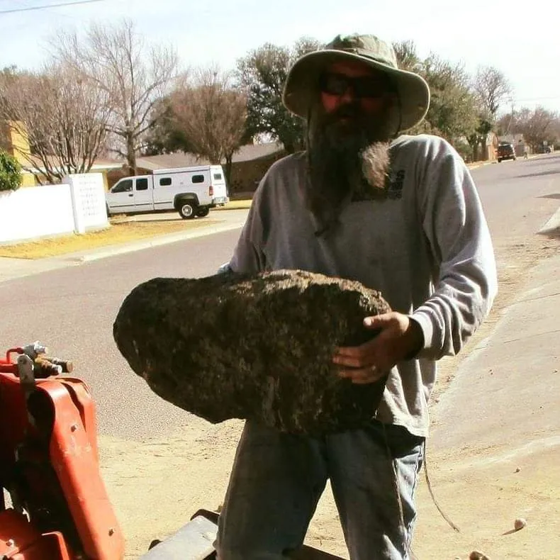 Top-rated yard maintenance in Levelland, TX - Wes' Landscape Care and Design