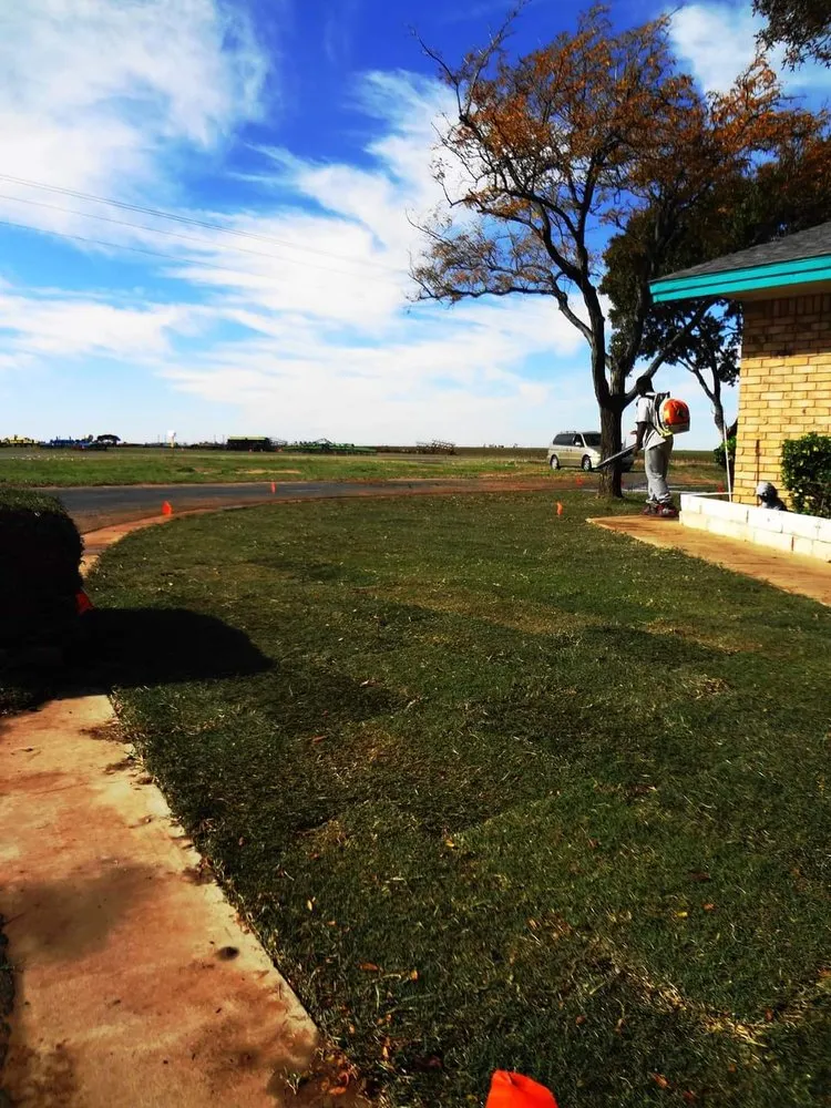 Affordable lawn care service in Levelland, TX by Wes' Landscape Care and Design