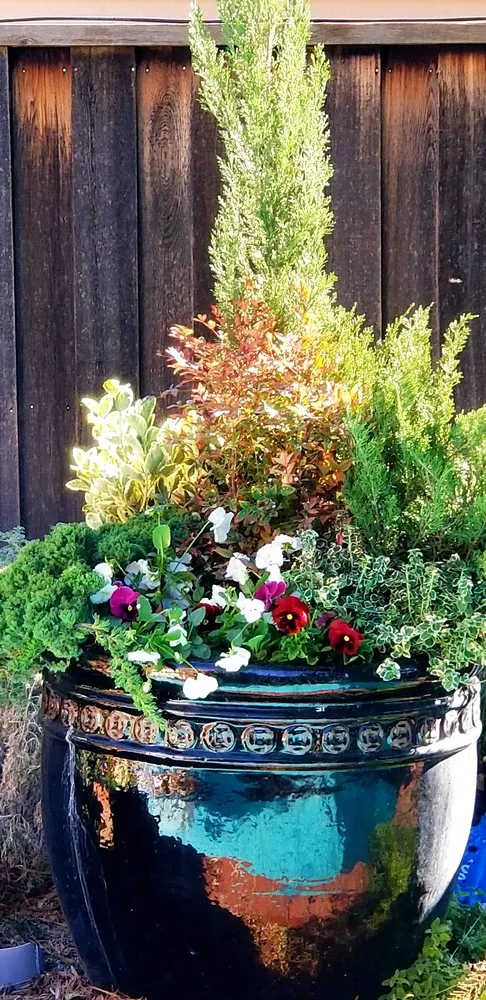 Reliable lawn care service in Levelland, TX - Wes' Landscape Care and Design