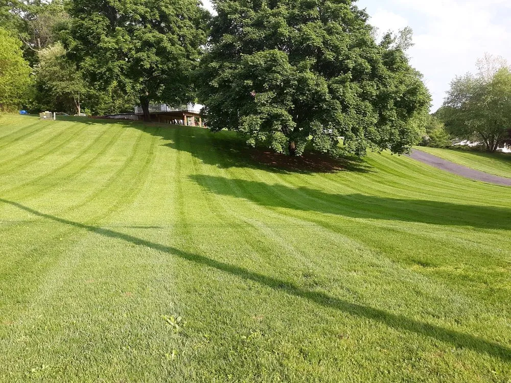 Local landscape design in Westminster, MD - Wes Landscaping