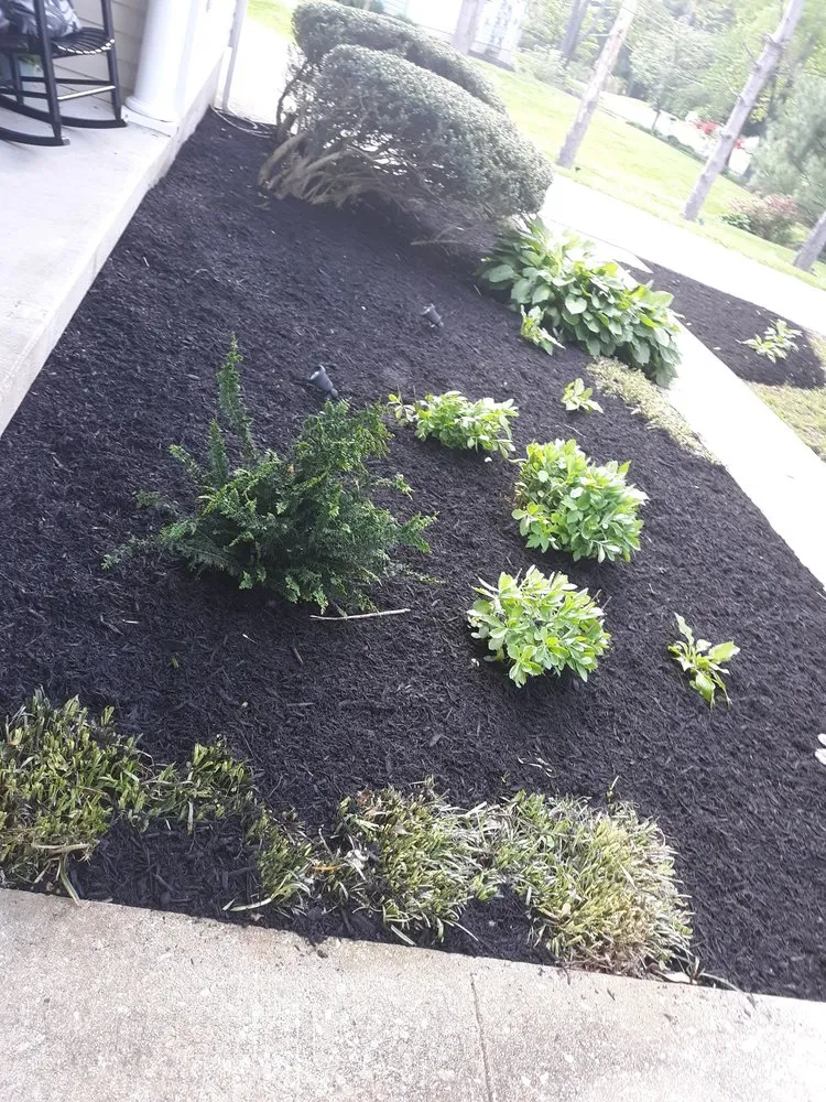 Top-rated yard maintenance for year-round maintenance in Westminster, MD by Wes Landscaping