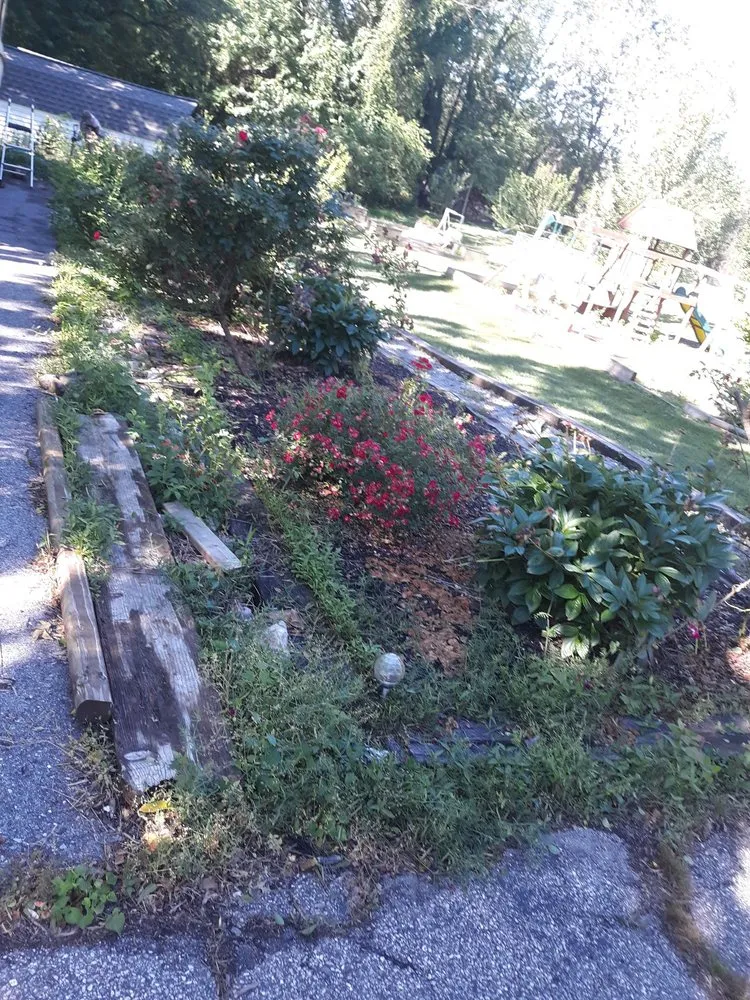 Expert yard maintenance in Westminster, MD by Wes Landscaping