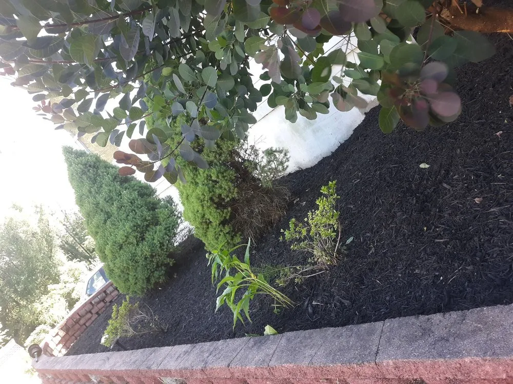 Reliable landscape design for beautiful yards in Westminster, MD by Wes Landscaping