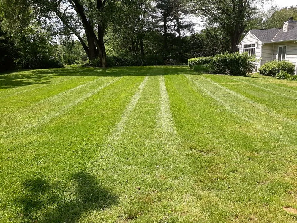 Custom landscape installation experts serving Westminster, MD - Wes Landscaping