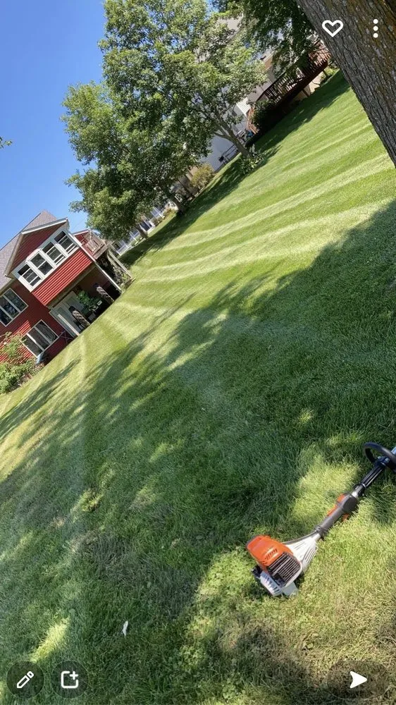 Trusted yard cleanup service in Mount Vernon, IA - Wes' Lwancare