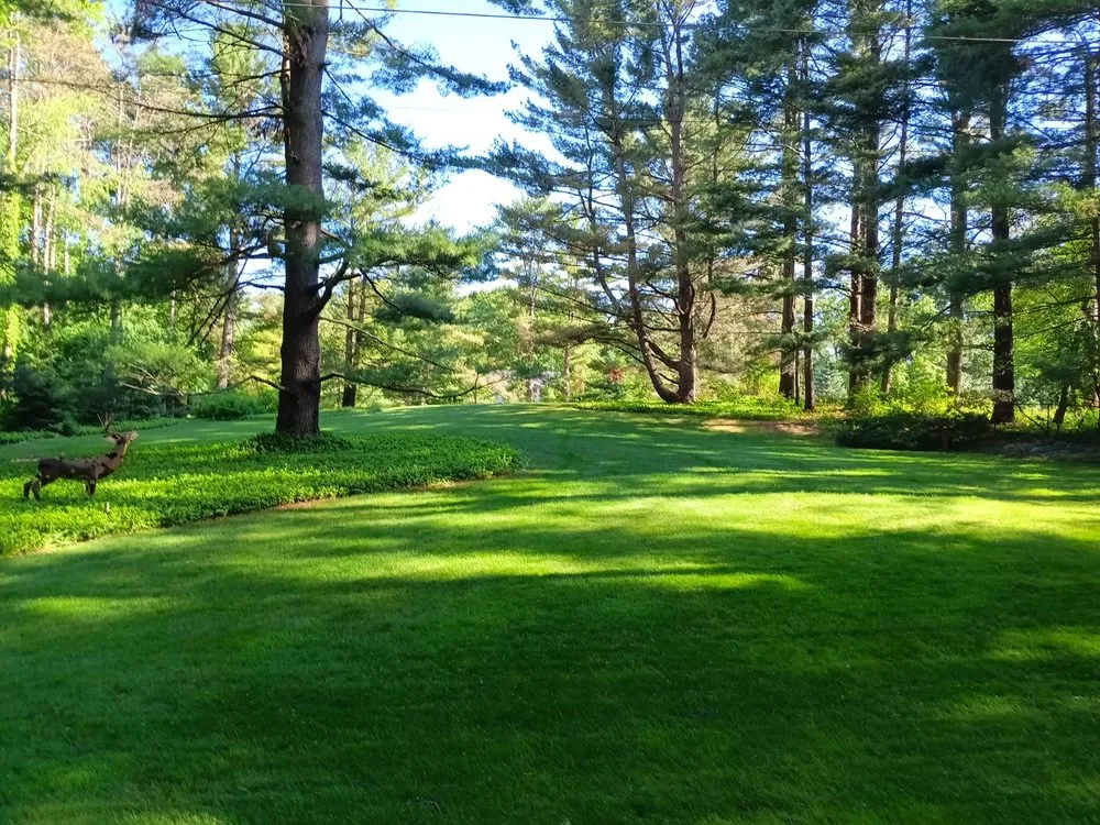 Custom lawn mowing service in Ann Arbor, MI - Wes Quinn's Landscaping