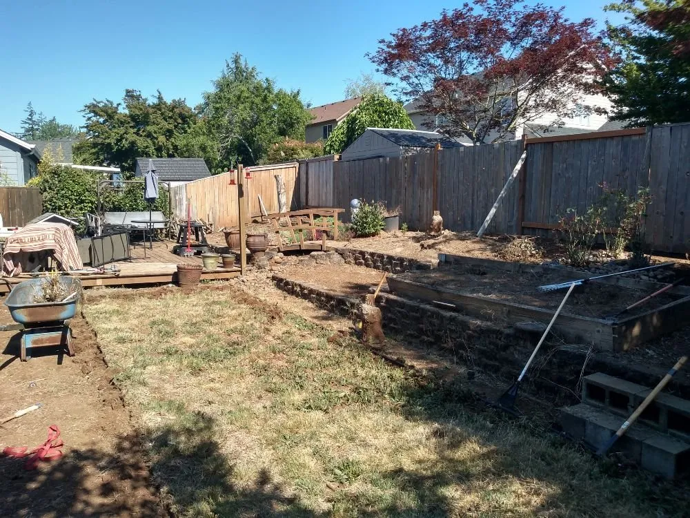 Professional yard cleanup service for year-round maintenance across Albany, OR - WesCoast handyman services