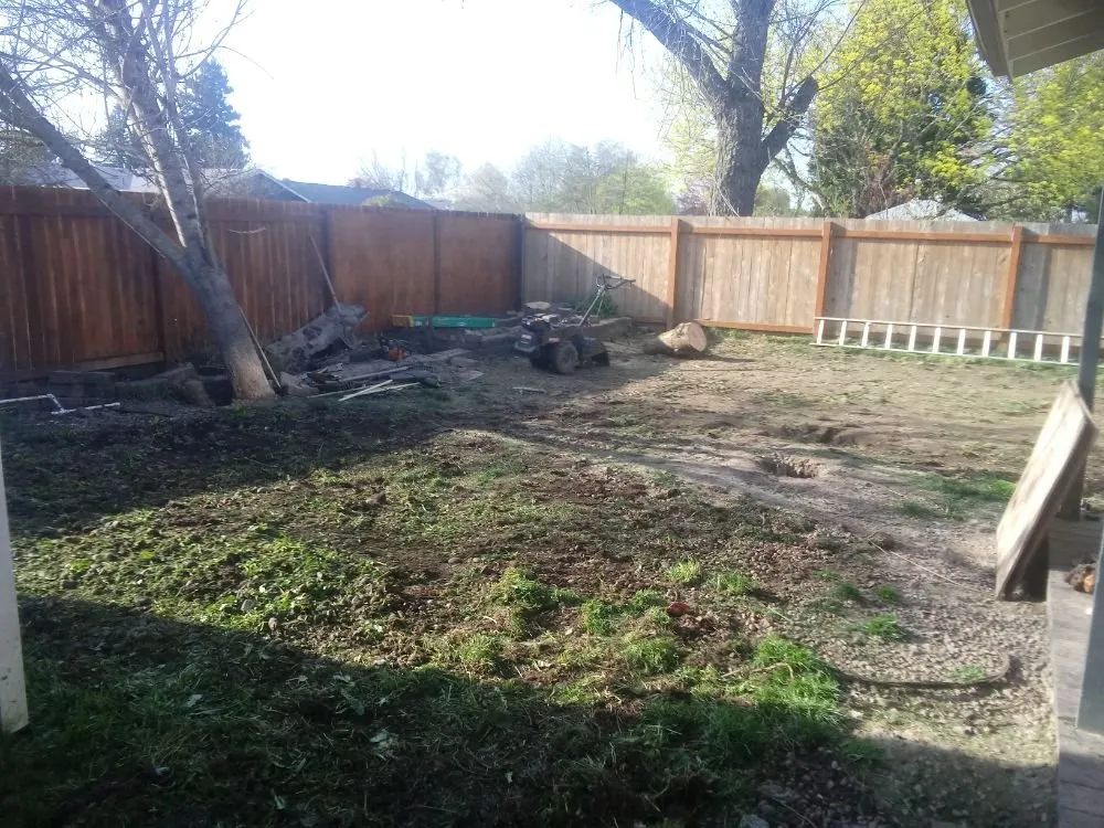 Top-rated lawn care service experts serving Albany, OR - WesCoast handyman services