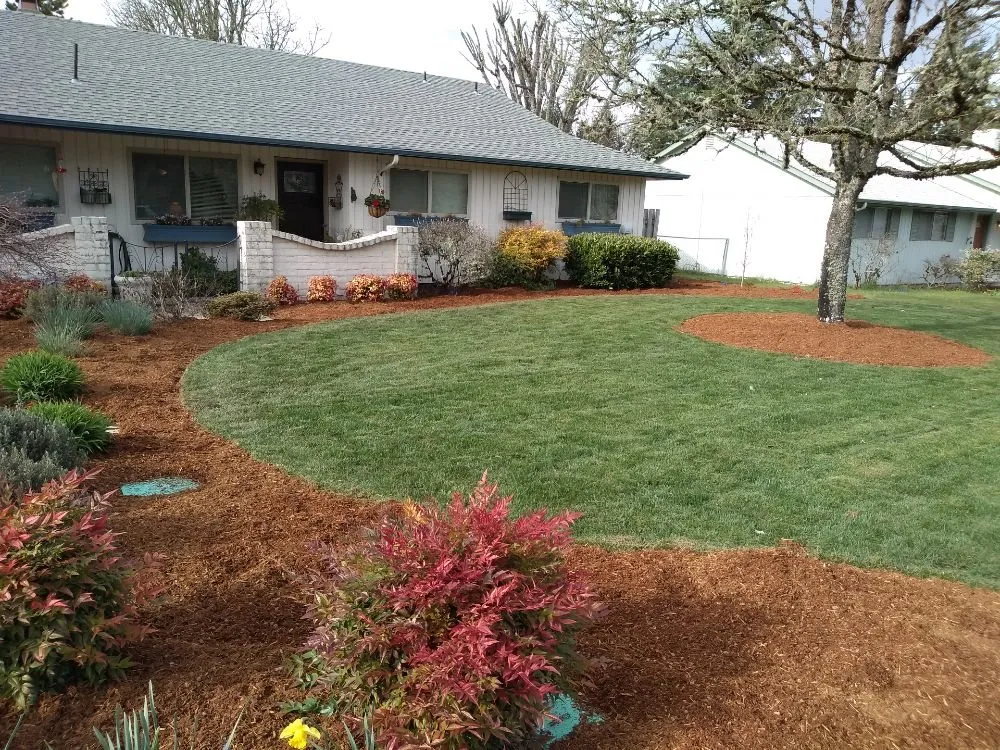 Professional yard cleanup service experts serving Albany, OR - WesCoast handyman services