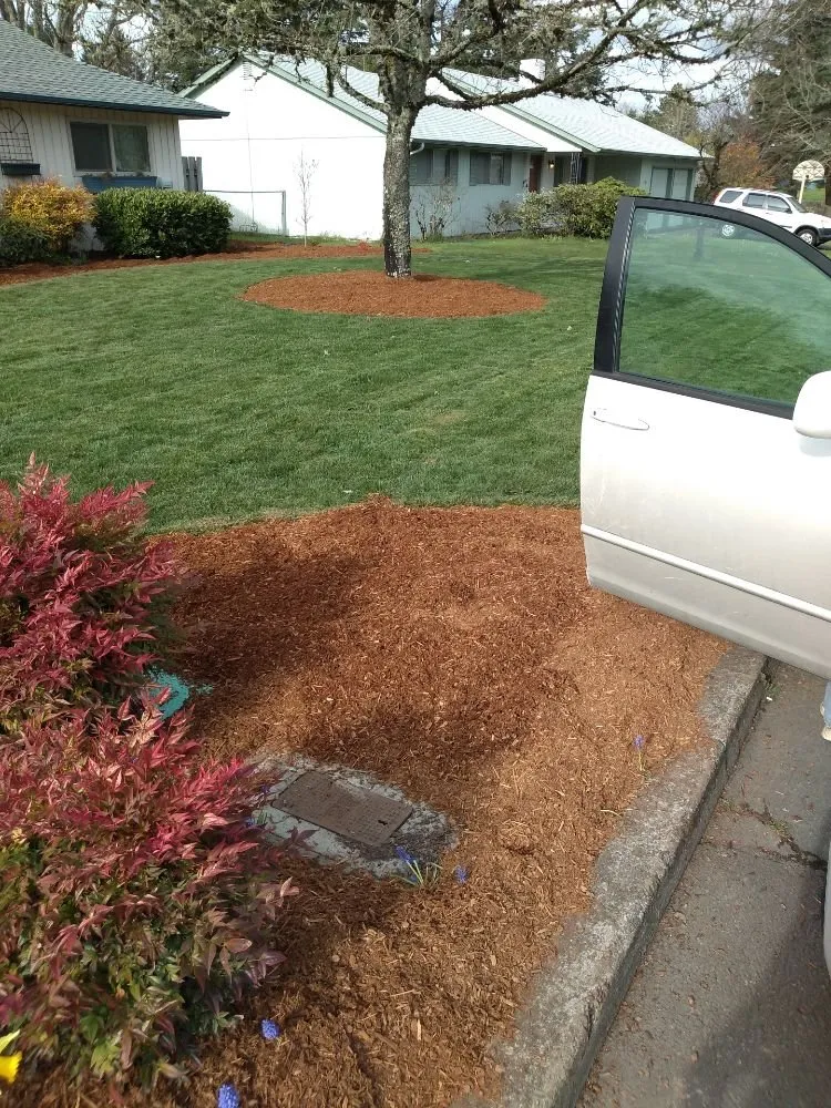 Professional landscape installation in Albany, OR - WesCoast handyman services