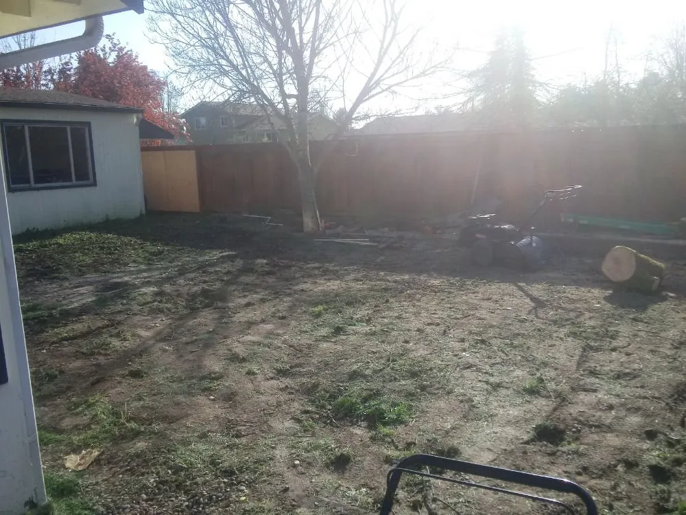 Expert landscape design in Albany, OR by WesCoast handyman services