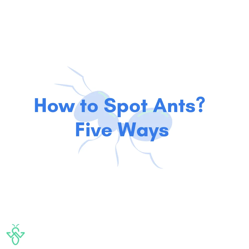 Custom lawn mowing service in Wylie, TX by WeServe Pest Solutions