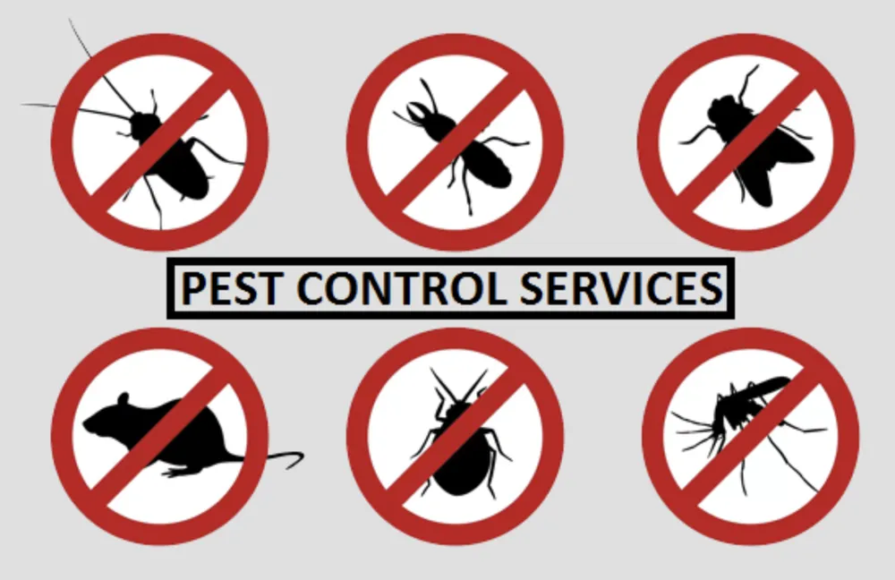 Top-rated outdoor landscaping in Wylie, TX - WeServe Pest Solutions