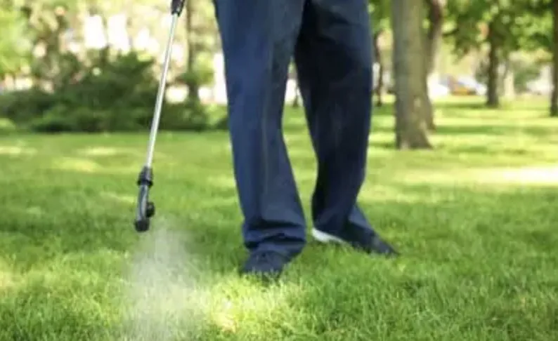 Top-rated yard cleanup service in Wylie, TX - WeServe Pest Solutions