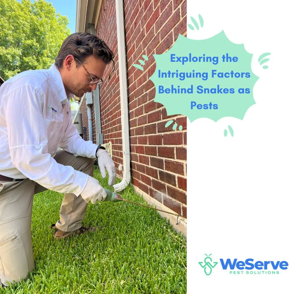 Trusted landscape design for residential properties across Wylie, TX - WeServe Pest Solutions