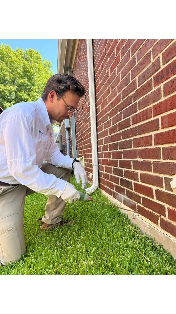 Top-rated yard maintenance with custom design in Wylie, TX by WeServe Pest Solutions