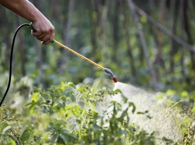 Custom landscape installation in Wylie, TX by WeServe Pest Solutions