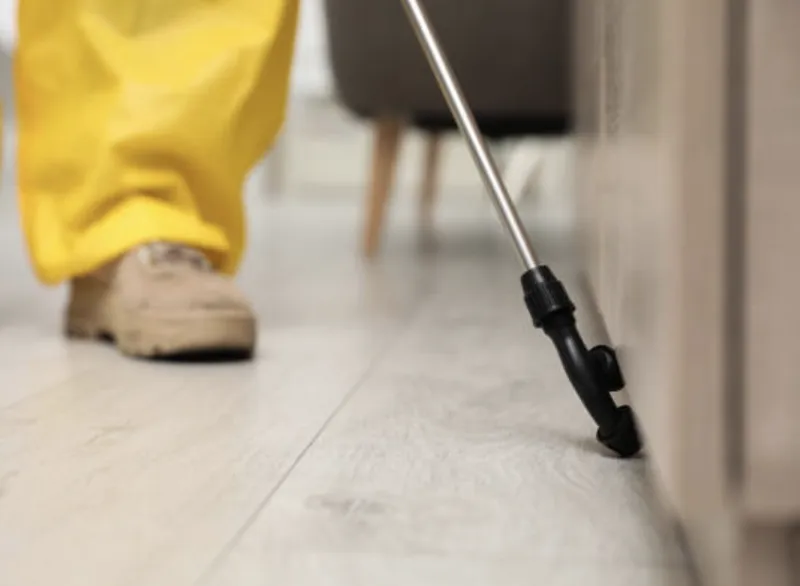 Top-rated landscape installation in Wylie, TX by WeServe Pest Solutions