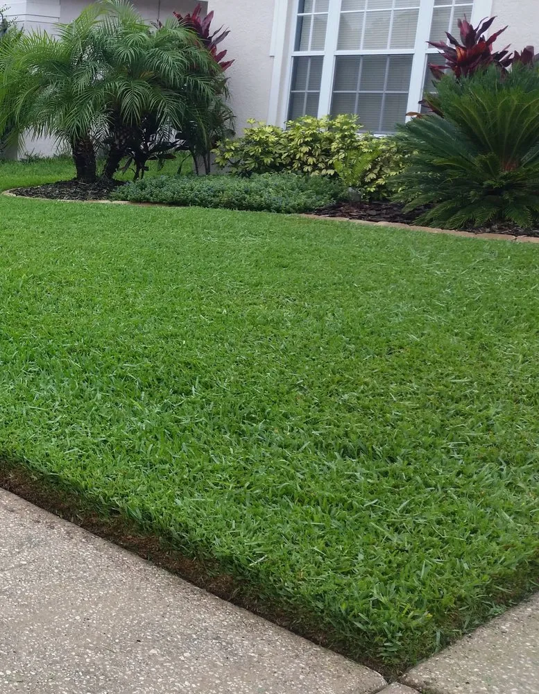 Top-rated yard maintenance experts serving Zephyrhills, FL - Wesley Chapel Lawn Care Service