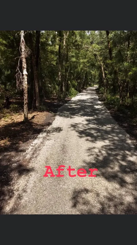 Reliable landscaping services experts serving La Crosse, FL - Wesley Environmental