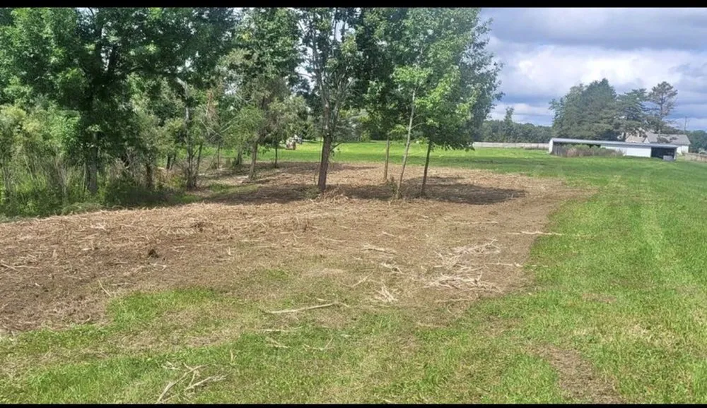 Expert garden landscaping in La Crosse, FL - Wesley Environmental