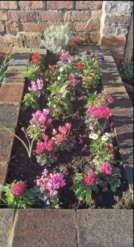 Top-rated garden landscaping near you in La Crosse, FL by Wesley Environmental