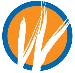 Reliable yard cleanup service in Westfield, IN by Wesley's Landscape & Lawncare