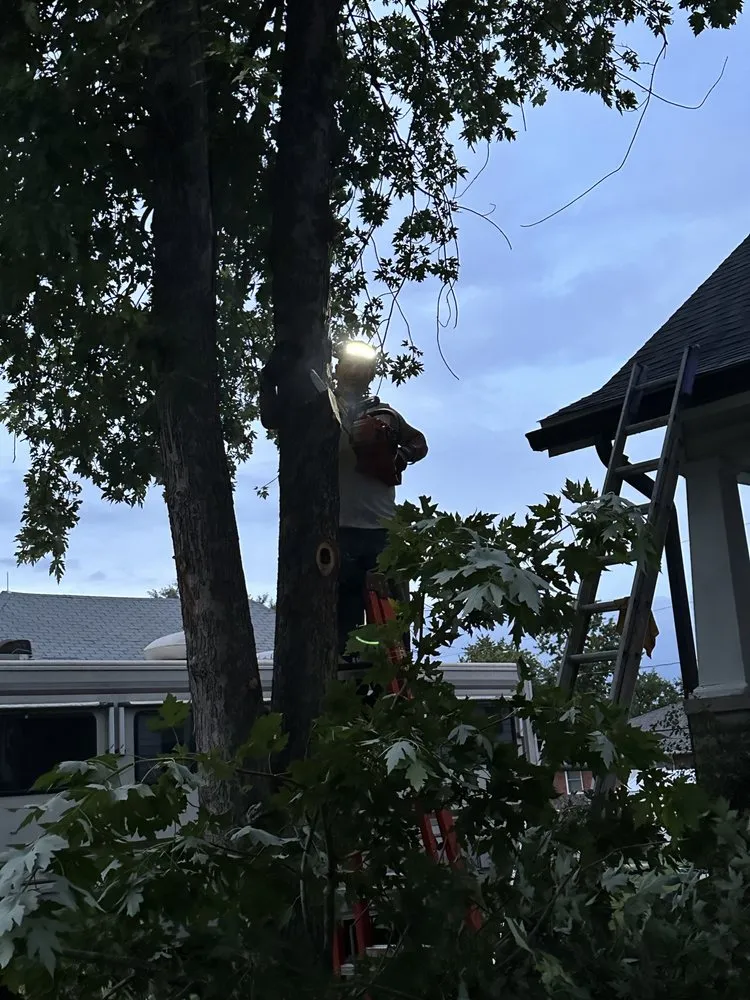 Affordable lawn care service in Macon, MO by Wesley's Lawn & Order And More