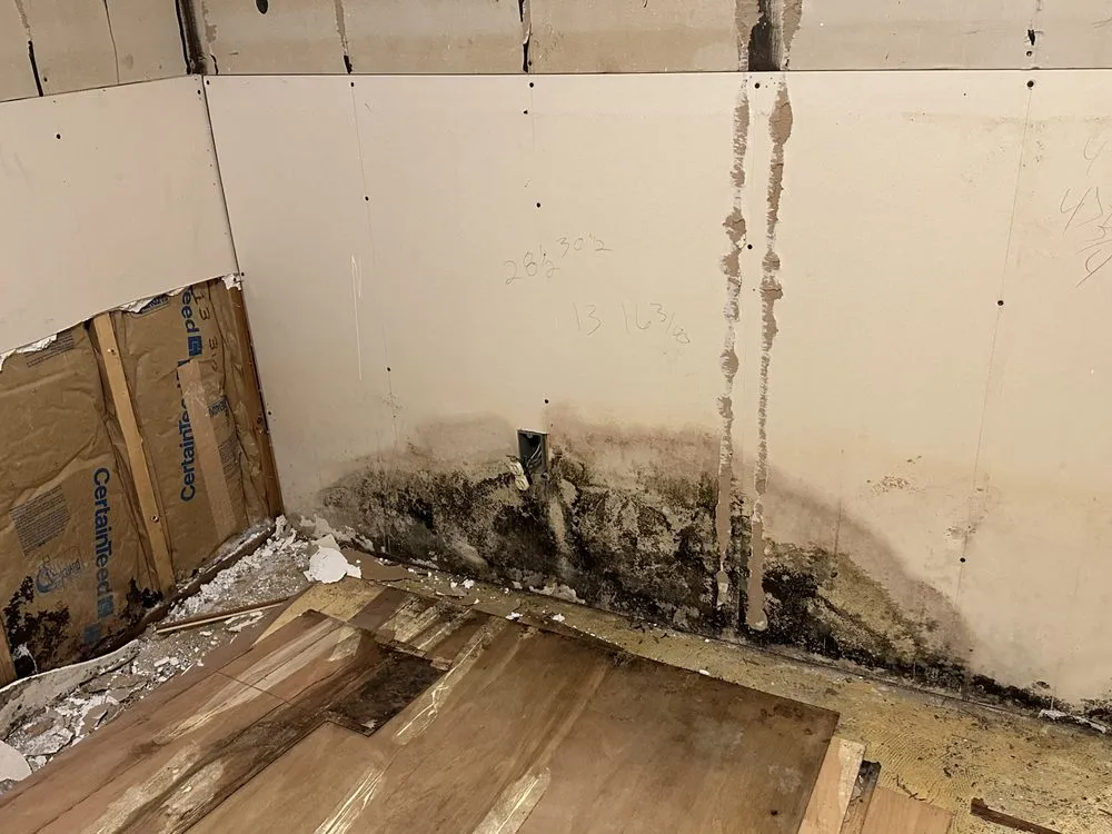 Custom yard cleanup service in Macon, MO - Wesley's Lawn & Order And More