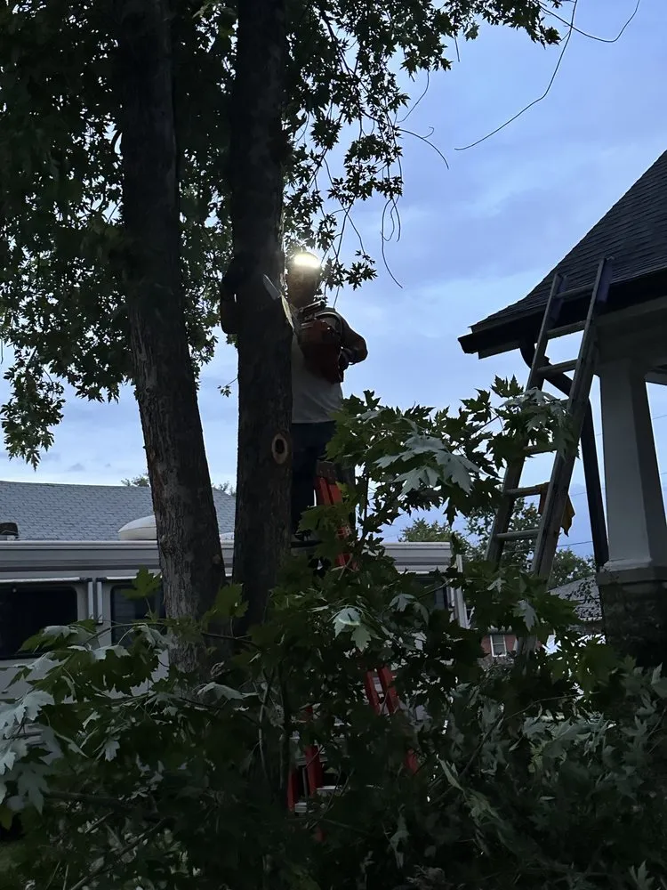 Affordable outdoor landscaping experts serving Macon, MO - Wesley's Lawn & Order And More