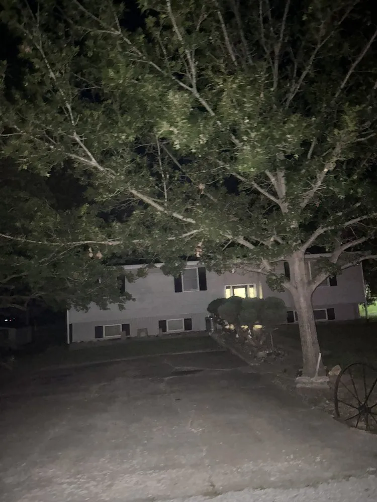 Expert yard cleanup service in Macon, MO by Wesley's Lawn & Order And More