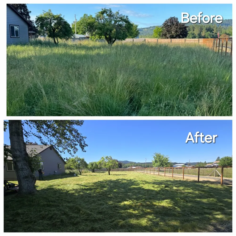 Expert yard cleanup service in Lebanon, OR by Wesley's Tractor Service