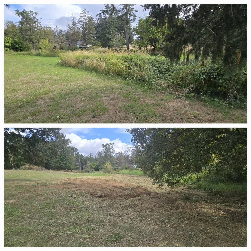 Affordable residential landscaping for year-round maintenance in Lebanon, OR by Wesley's Tractor Service