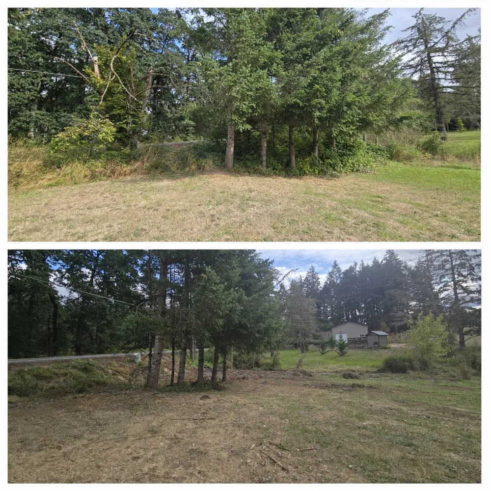 Professional landscape installation in Lebanon, OR by Wesley's Tractor Service