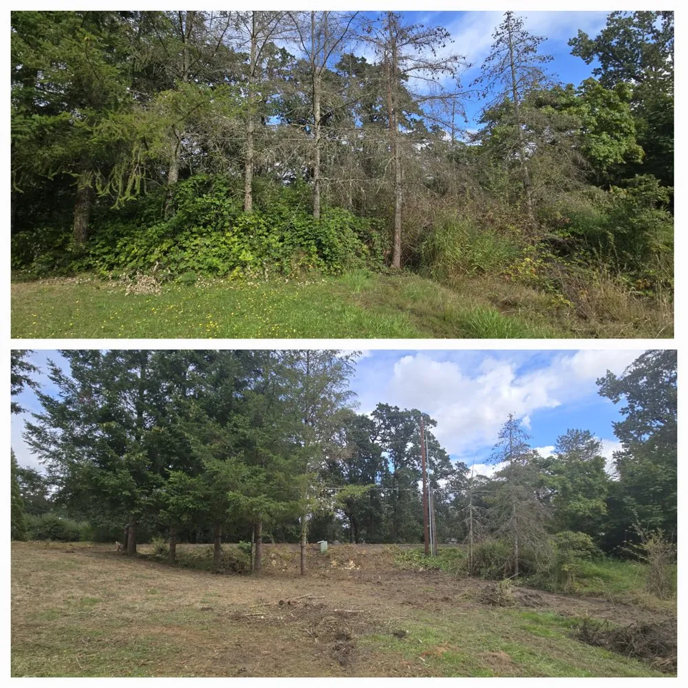 Top-rated landscape installation for year-round maintenance across Lebanon, OR - Wesley's Tractor Service