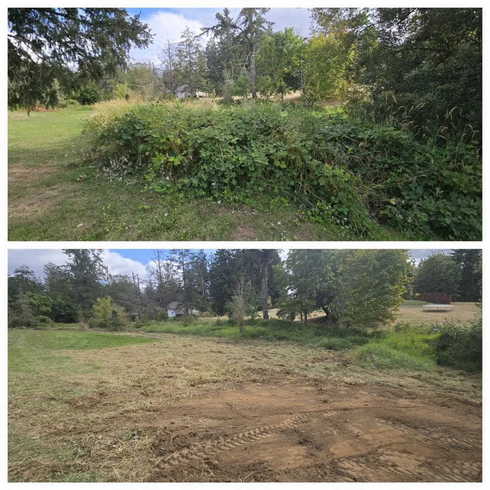 Local landscape design experts serving Lebanon, OR - Wesley's Tractor Service