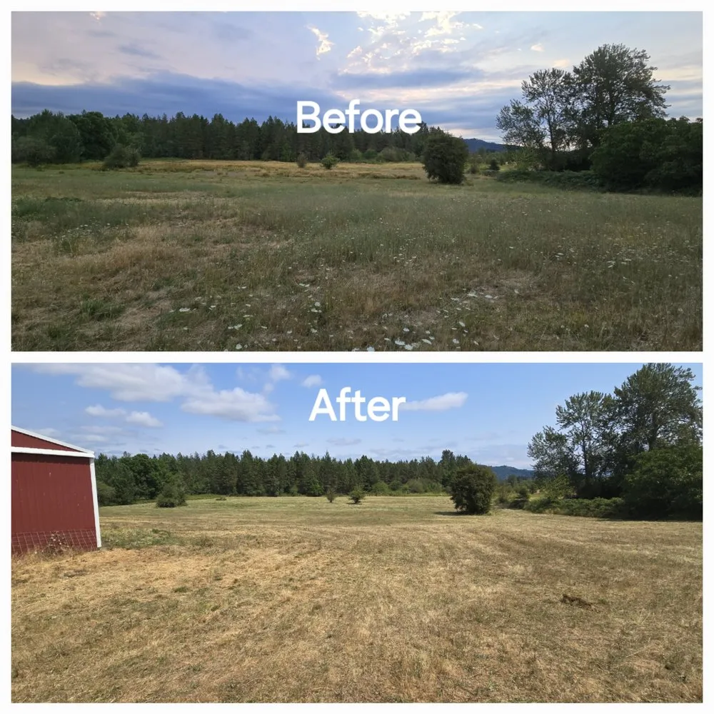 Reliable residential landscaping with custom design in Lebanon, OR by Wesley's Tractor Service