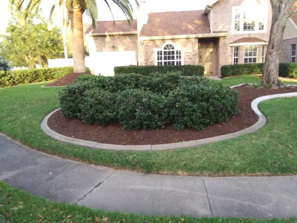 Expert yard maintenance in Port orange, FL by Wes's Lawn & Landscaping Services