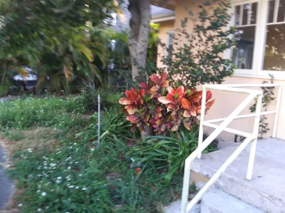 Local lawn care service in Port orange, FL - Wes's Lawn & Landscaping Services