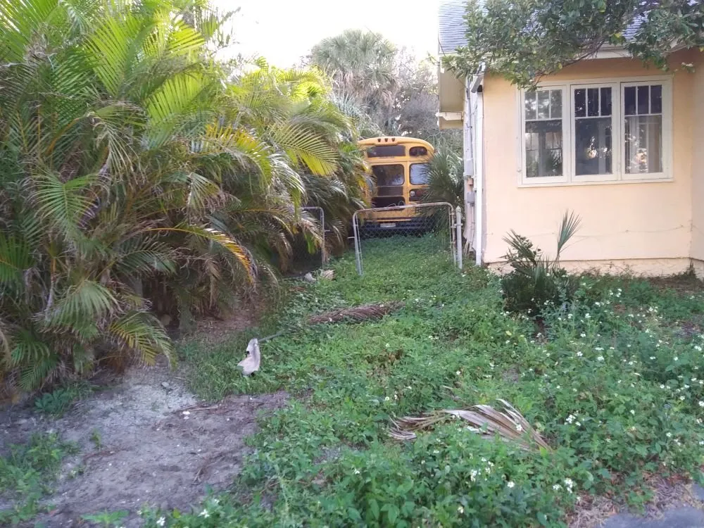 Expert lawn mowing service for year-round maintenance in Port orange, FL by Wes's Lawn & Landscaping Services