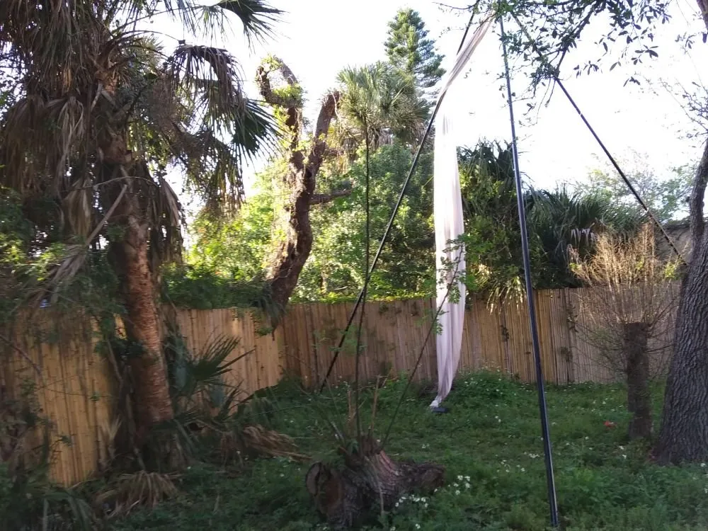 Professional yard maintenance in Port orange, FL - Wes's Lawn & Landscaping Services