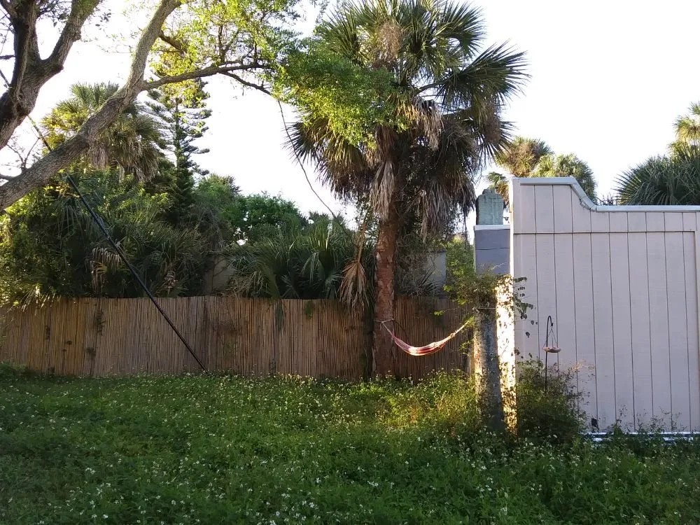 Top-rated yard maintenance in Port orange, FL by Wes's Lawn & Landscaping Services