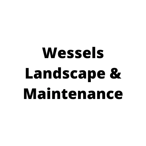Local landscape design in San Diego, CA by Wessels Landscape & Maintenance