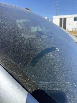 Wessels Landscape & Maintenance Logo