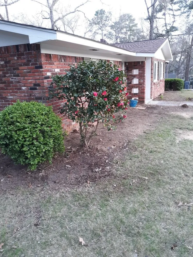 Professional yard cleanup service in Chelsea, AL - Wesson's Commercial Cleaning and Detail