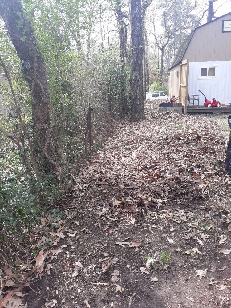 Top-rated yard cleanup service in Chelsea, AL by Wesson's Commercial Cleaning and Detail