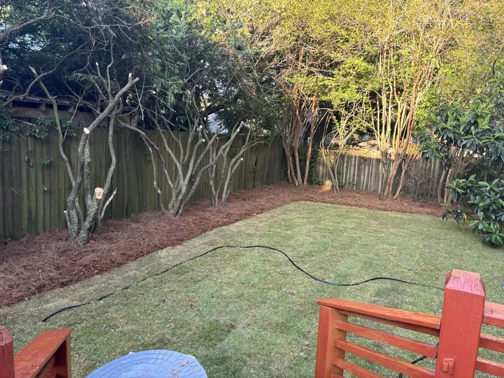 Affordable landscaping services in Mobile, AL by West Bay Landscape& Lawn