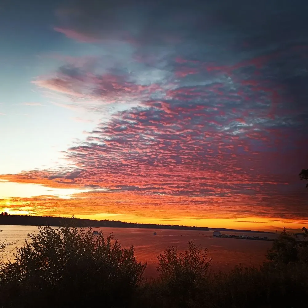 Affordable lawn mowing service for outdoor upgrades in Gouldsboro, ME by West Bay Lawn Care