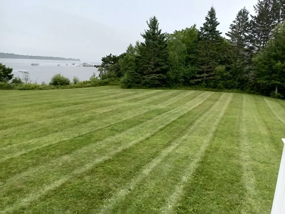 Reliable yard cleanup service near you across Gouldsboro, ME - West Bay Lawn Care